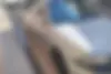 فولکس،  گل