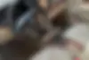 ام جی،  350