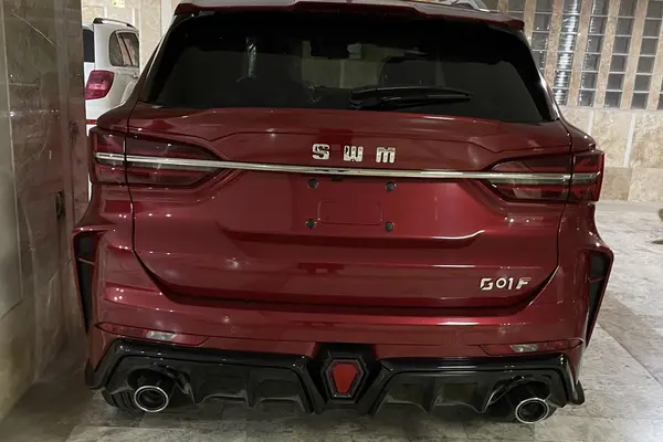 اس دبلیو ام، G01F