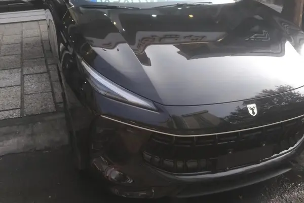 لاماری، ایما