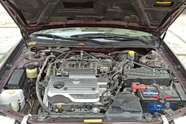 نیسان، ماکسیما