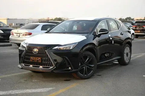 لکسوس، NX