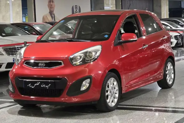 کیا، پیکانتو