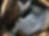 نیسان،  ماکسیما