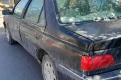 پژو، پارس