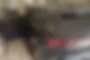 فونیکس،  تیگو 7 پرو