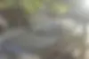سمند،  LX