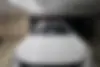 فونیکس، FX EV