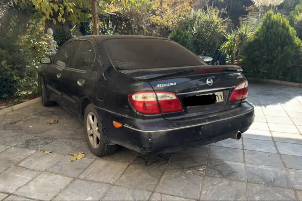 نیسان، ماکسیما