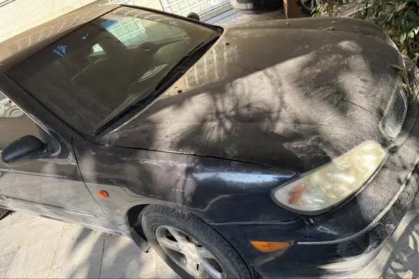 نیسان، ماکسیما