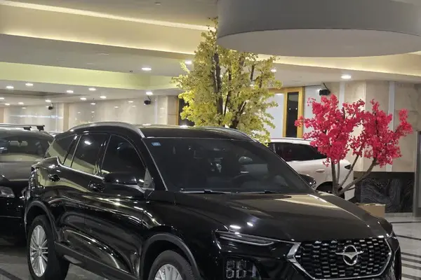 هایما  8S