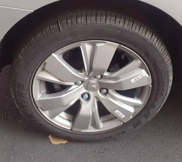 تارا، اتوماتیک V4