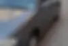 فولکس،  گل