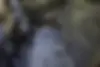 کیا،  اسپورتیج