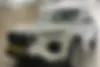 هایما  8S