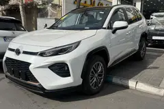 تویوتا، وایلدلندر