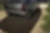فولکس،  گل