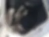 جک،  جی 4