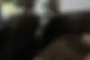 نیسان  آلتیما