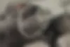 رنو  تندر 90