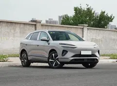 بی وای دی، سی لاین 06 DMi