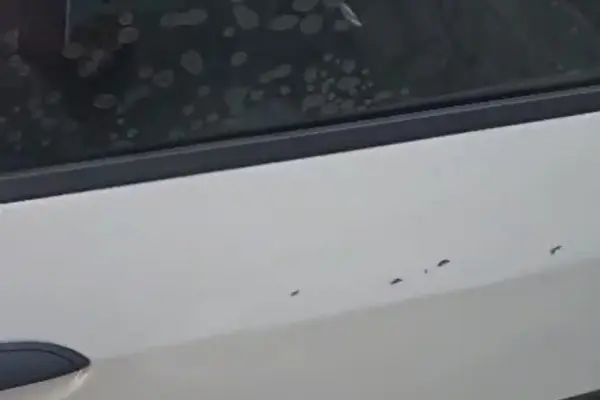 رنو  تندر 90