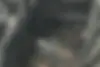 لکسوس  RX