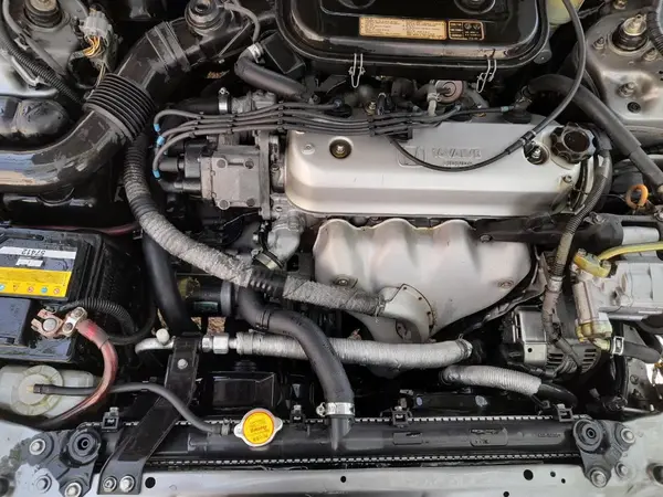 هوندا، آکورد