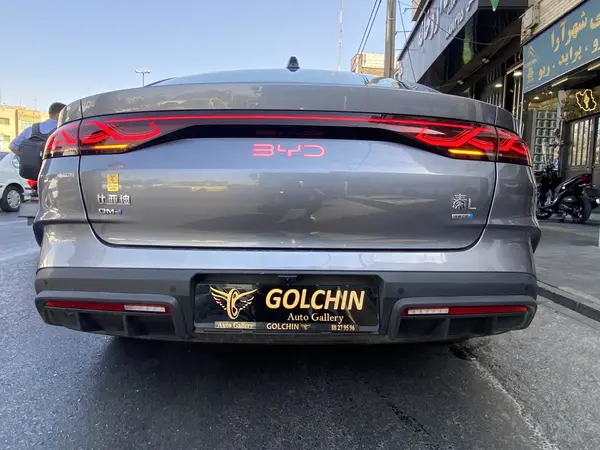 بی وای دی، چین L