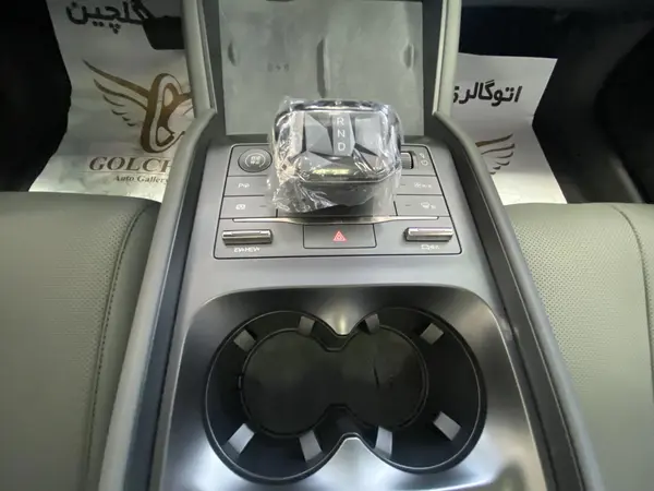 بی وای دی، چین L