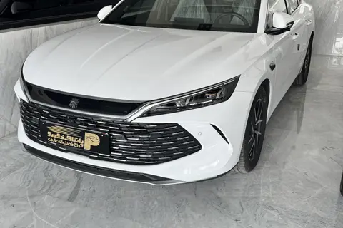 بی وای دی، چین ال DMi