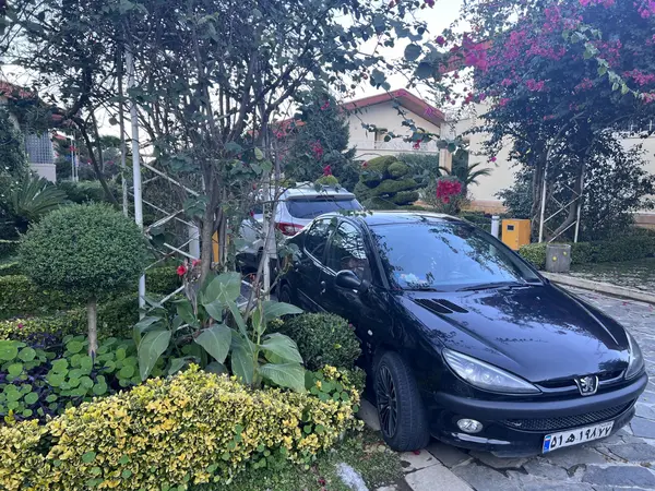 پژو  206 SD