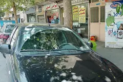 تیبا، هاچ بک