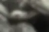 فونیکس  FX