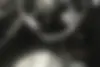 فونیکس  FX