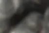 فونیکس  FX