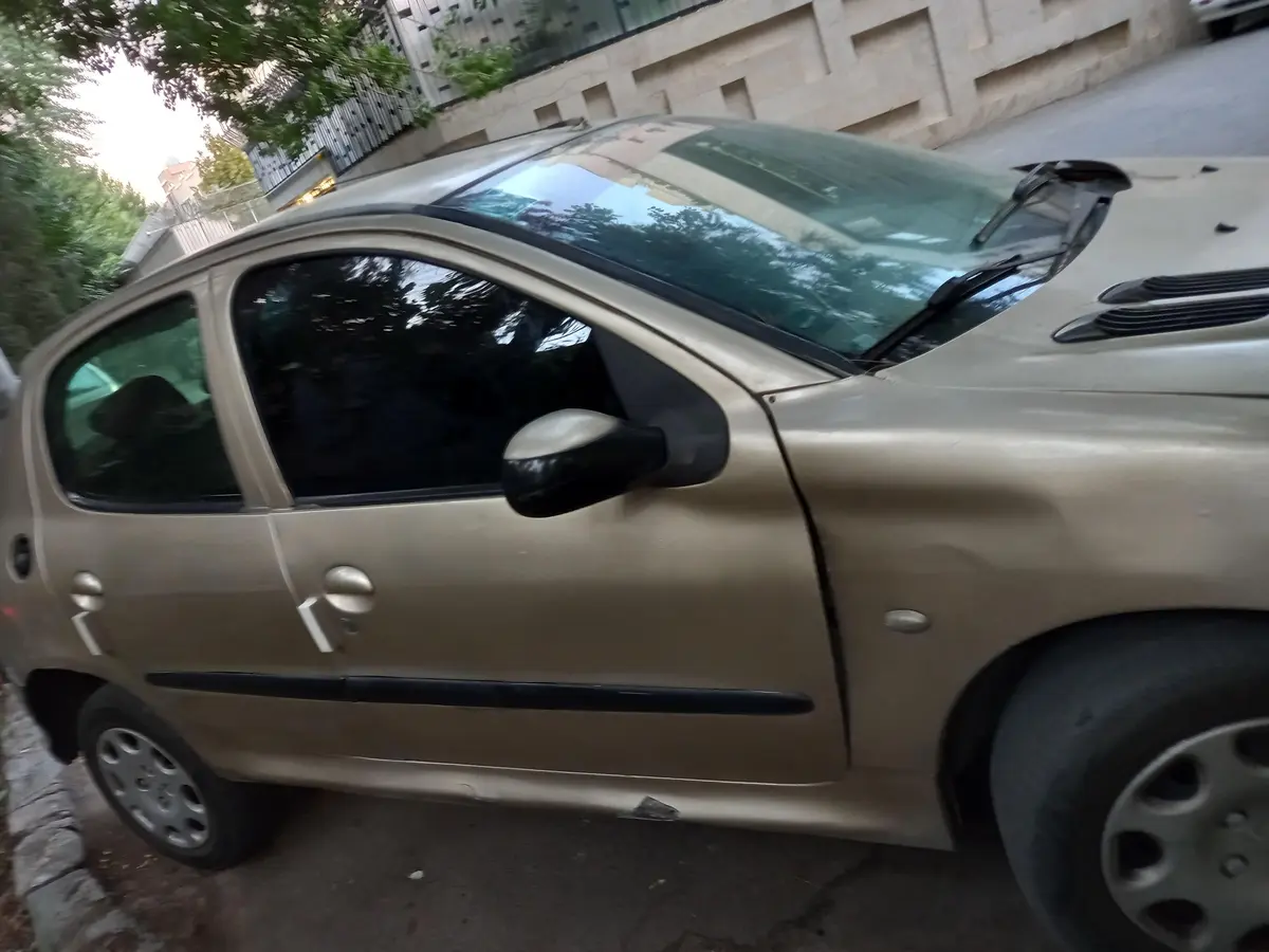 پژو،  206