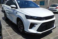 اس دبلیو ام، G01F