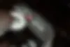 بنز،  کلاس S