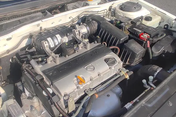 دنا، معمولی