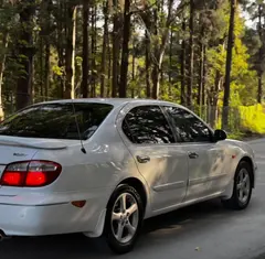 نیسان، ماکسیما