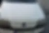 فولکس،  گل