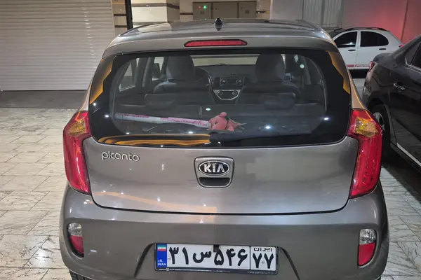 کیا، پیکانتو