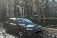 نیسان، ماکسیما