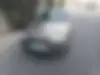 فولکس،  گل