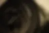 کیا  سراتو (مونتاژ)