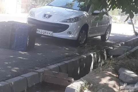 پژو، 207