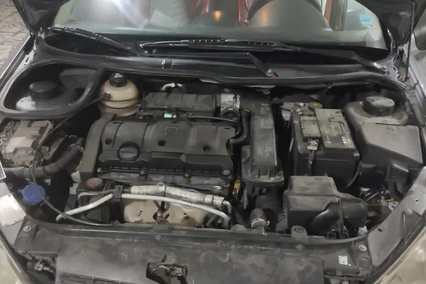 پژو  206 SD