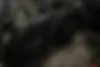 ولوو  V40