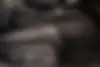 هوندا،  آکورد